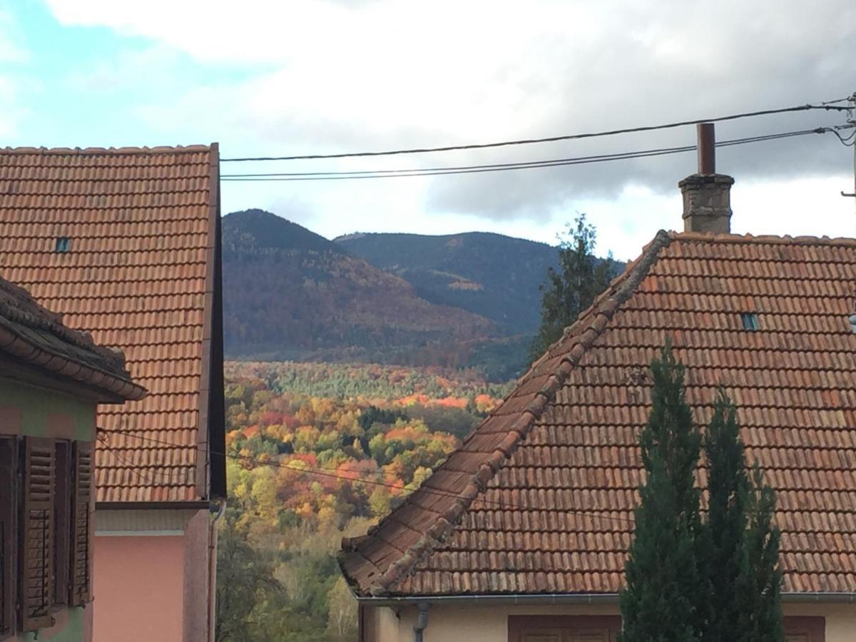 L'Estaminet De La Vallee - Le Provencal Villa Russ Buitenkant foto